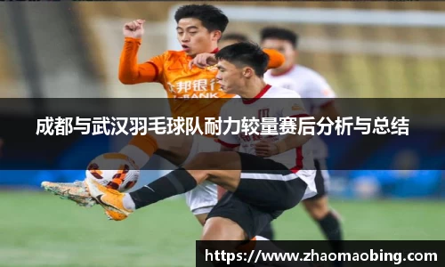 成都与武汉羽毛球队耐力较量赛后分析与总结